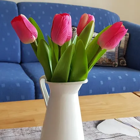 Urlaub Bei Webers Apartment *